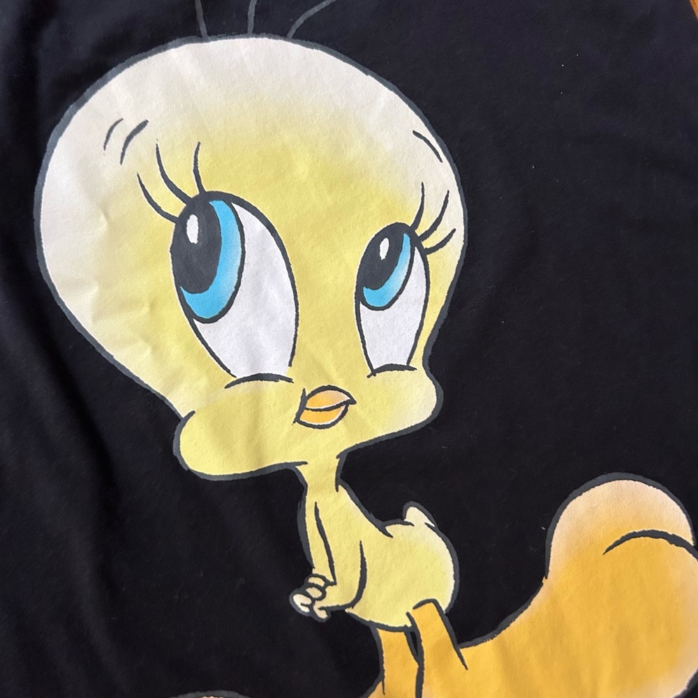 Looney Tunes Tweety Bird Sleepwear ultra shear Black 3X